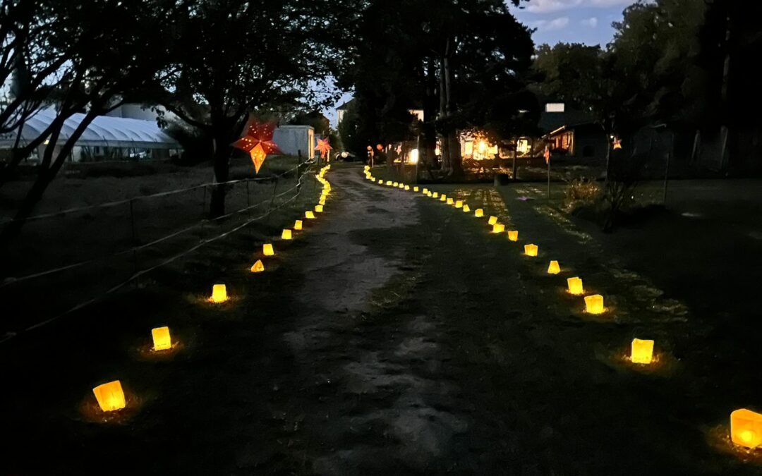 MIDI MINUIT DES LAMPIONS 19/09/2025